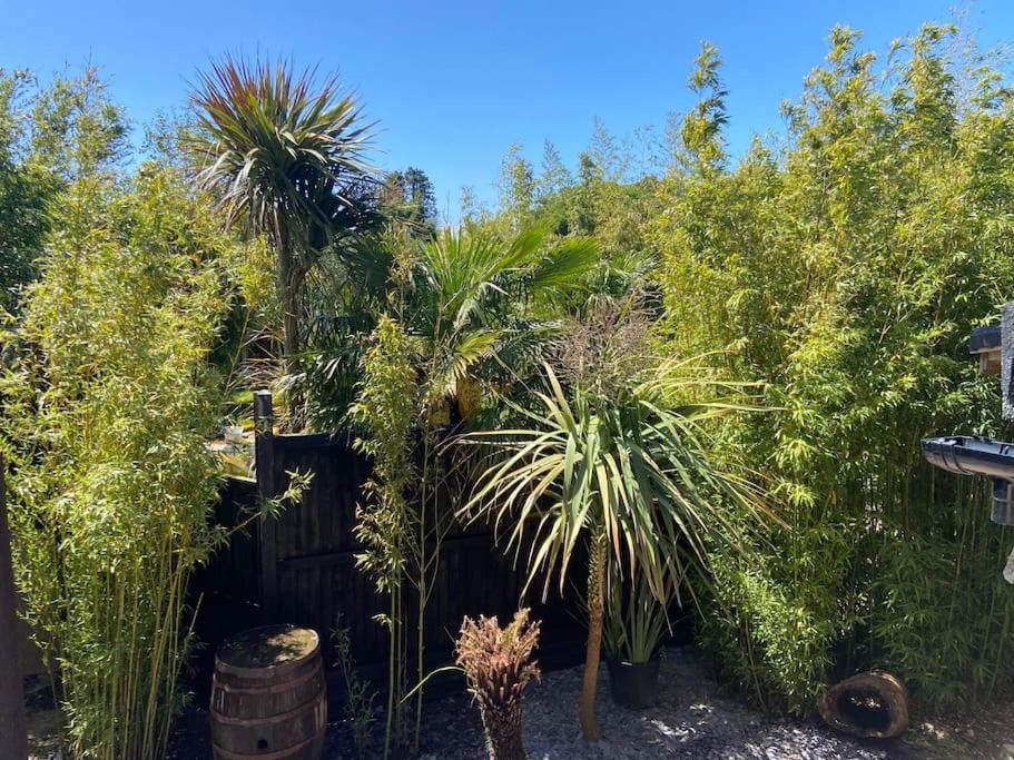 WOW! Jungle Cabin Hottub, 4 poster bed, Nr Coast Martin Mill Exterior foto