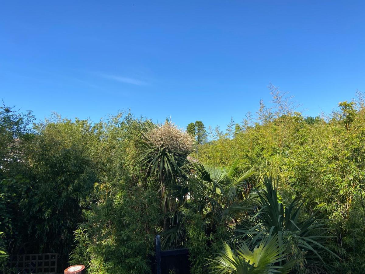 WOW! Jungle Cabin Hottub, 4 poster bed, Nr Coast Martin Mill Exterior foto
