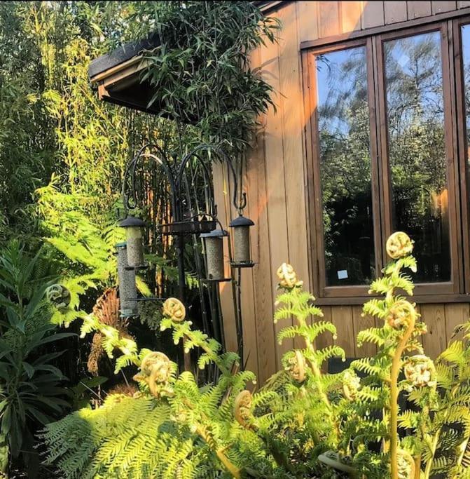 WOW! Jungle Cabin Hottub, 4 poster bed, Nr Coast Martin Mill Exterior foto
