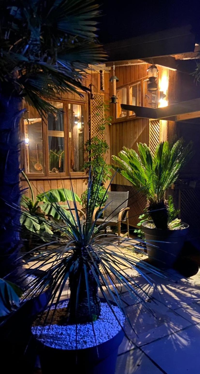 WOW! Jungle Cabin Hottub, 4 poster bed, Nr Coast Martin Mill Exterior foto